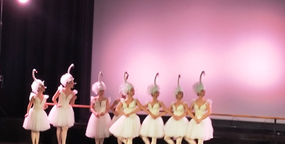 Η Εθνική Λυρική Σκηνή στα Γιαννιτσά! / Συνεχίζονται οι παραστάσεις