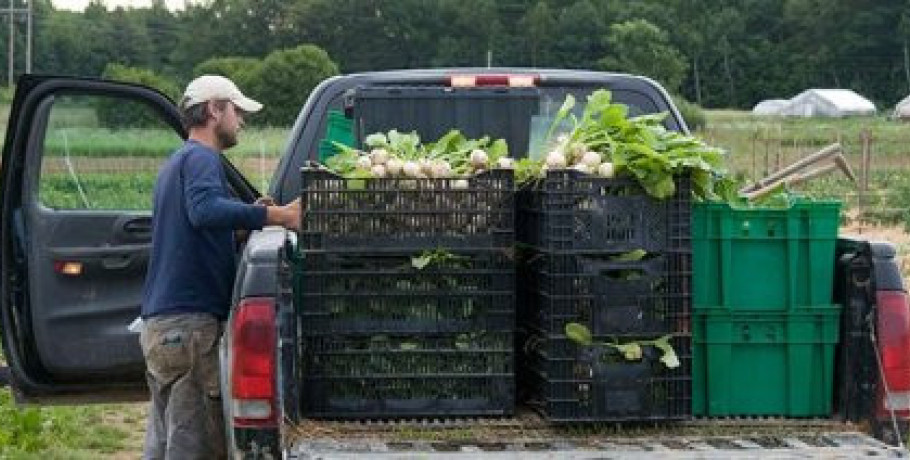 Από τον Μάιο υποχρεωτικό το ψηφιακό δελτίο αποστολής για την διακίνηση των αγροτικών προϊόντων