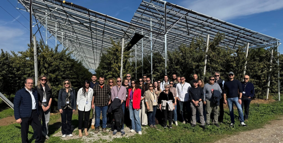 Η Περιφέρεια και το Περιφερειακό Ταμείο Ανάπτυξης Κεντρικής Μακεδονίας στην ημερίδα “Αγροβολταϊκά (Agri-PV) και εφαρμογές” στο πλαίσιο του έργου “SolarHub”