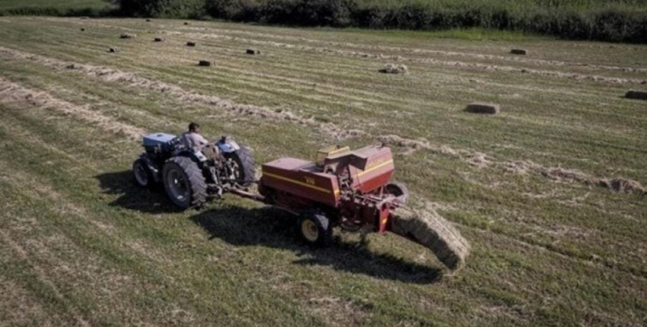 ΟΠΕΚΕΠΕ: Πότε θα καταβληθεί η βασική ενίσχυση - Κατατέθηκε η πρόταση στις ευρωπαϊκές αρχές