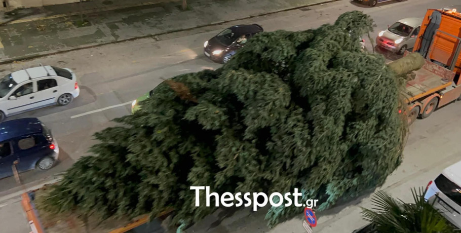 Θεσσαλονίκη: Έφτασε το χριστουγεννιάτικο έλατο 18 μέτρων από Παλαιοχώρι (VIDEO)