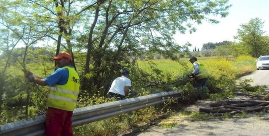 Νυχτερινές εργασίες κοπής πρασίνου στην Περιφερειακή Οδό Θεσσαλονίκης από την Περιφέρεια Κεντρικής Μακεδονίας