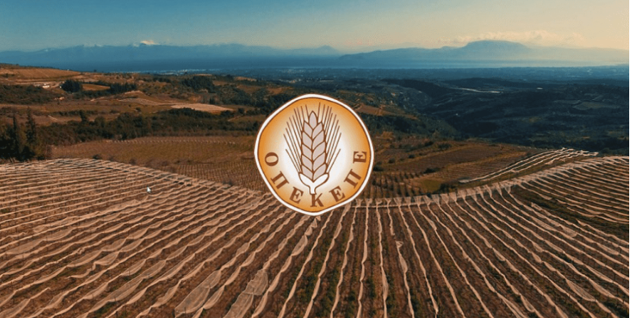 Κώστας Τσιάρας: Η έγκριση του Αction Plan 2 για τον ΟΠΕΚΕΠΕ ανοίγει τον δρόμο για πληρωμές με βάση τον σχεδιασμό του Οργανισμού