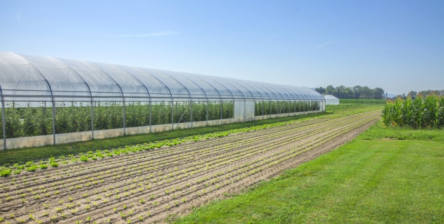 Ανακοίνωση Διεύθυνσης Αγροτικής Οικονομίας και Αλιείας ΠΚΜ για την Παρέμβαση Π3-73-2.9 για θερμοκήπια και στέγαστρα φυτικής παραγωγής