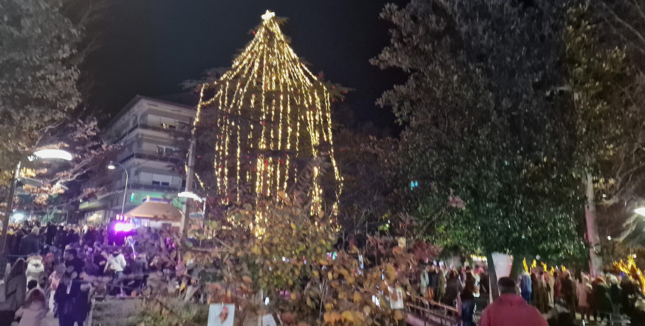 Η Έδεσσα φόρεσε τα γιορτινά της – Άναψε το φυσικό, υπέροχο Χριστουγεννιάτικο δέντρο στην καρδιά της πόλης