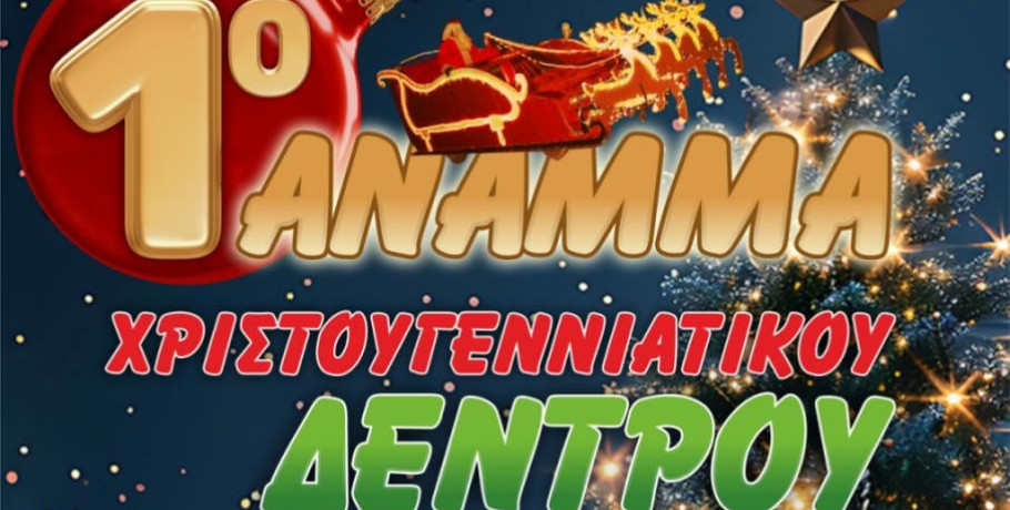 Γιαννιτσά: Περνά περνά το...Μελισσιώτικο Δέντρο!