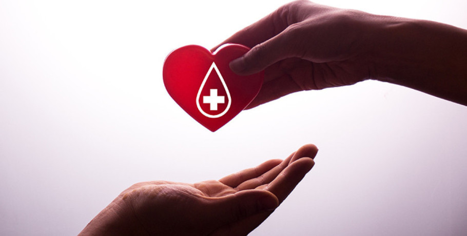 Πρόγραμμα εξορμήσεων για τον μήνα Δεκέμβριο της Αιμοδοσίας Έδεσσας