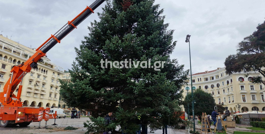 Θεσσαλονίκη: Στήνεται το επιβλητικό χριστουγεννιάτικο δέντρο στην πλατεία Αριστοτέλους