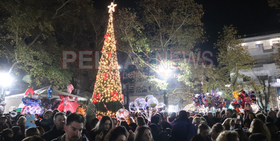Το Χριστουγεννιάτικο Δέντρο Άναψε στη Σκύδρα (Φωτογραφίες/βίντεο)