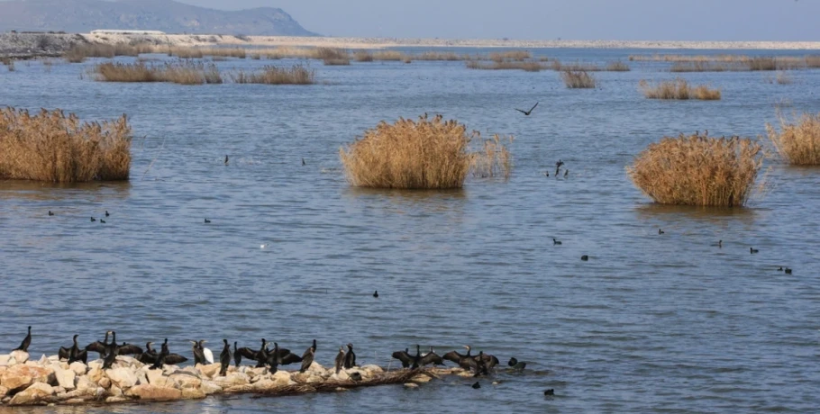 Στέλεχος του ΠΑΣΟΚ καταθέτει για ΟΠΕΚΕΠΕ: Το κέντρο υποδοχής δηλώσεων, οι εκτάσεις στη λίμνη Κάρλα και το κύκλωμα των Γιαννιτσών
