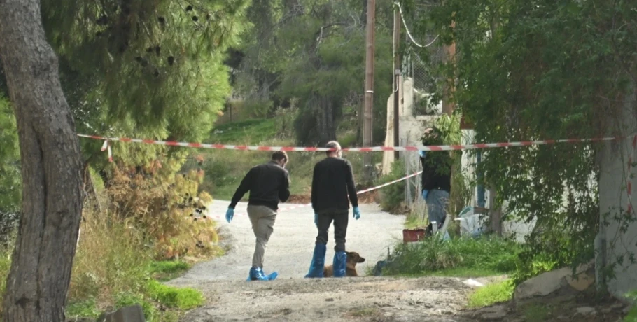 Ανατροπή με την δολοφονία της 75χρονης στη Σαλαμίνα - Ομολόγησε η νύφη της