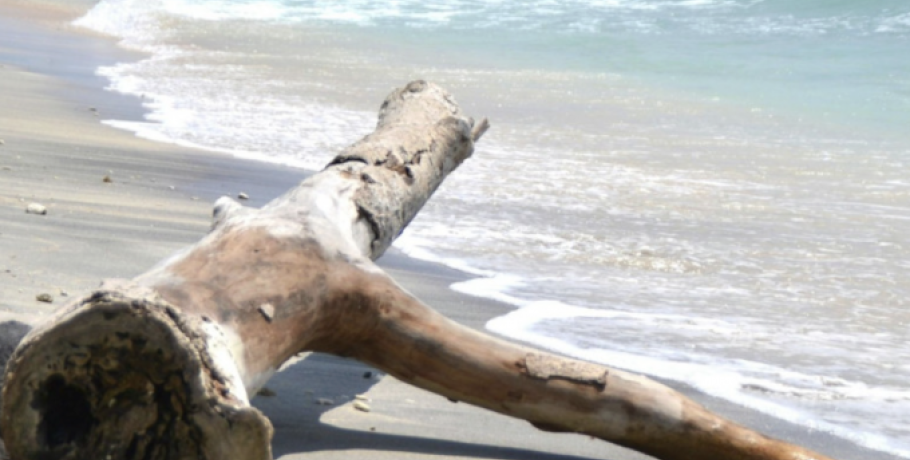 Ωκεανοί... SOS: Η Μεσόγειος ένα από τα κύρια hotspot του κόσμου - Η τριπλή πλανητική κρίση