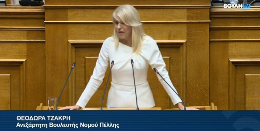 Θ. Τζάκρη - Τοποθέτηση στη Βουλή για την Ανεξάρτητη Αρχή Ελέγχου της Αγοράς