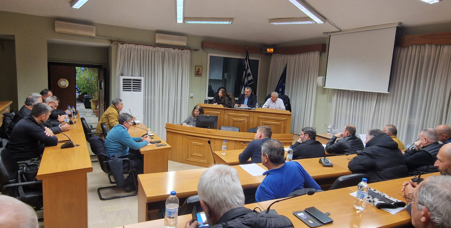 Στο επίκεντρο του Δημοτικού Συμβουλίου Αλμωπίας το ζήτημα της στάθμευσης