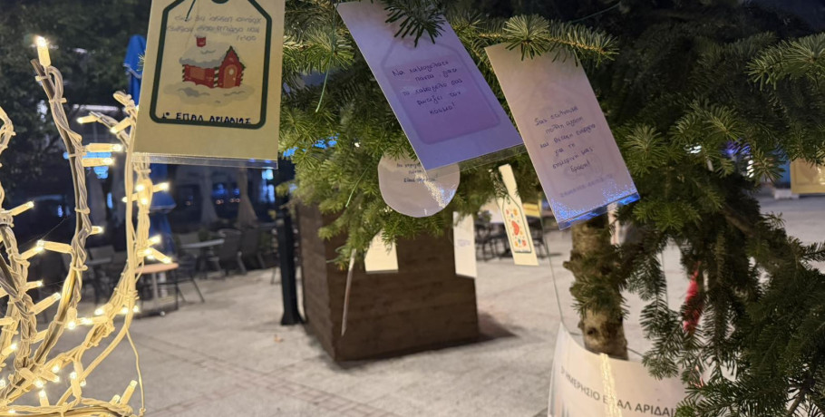 1o ΕΠΑΛ Αριδαίας «Νίκανδρος Παπαϊωάννου»  «Το Δέντρο των Ευχών»