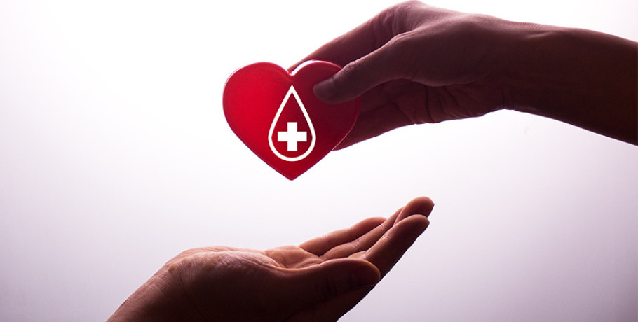 Το πρόγραμμα εξορμήσεων για τον μήνα Ιανουάριο 2026, της Αιμοδοσίας Έδεσσας