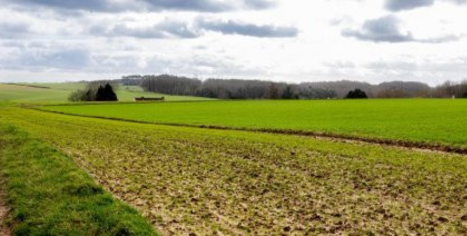 Εν αναμονής εγκυκλίου οι πληρωμές αγροτεμαχίων έως 20 στρεμμάτων με προβλήματα λόγω ΚΑΕΚ