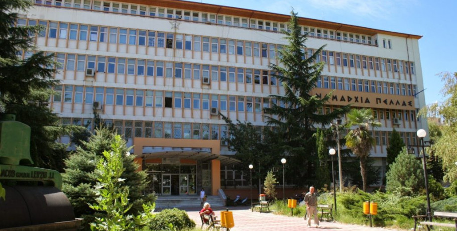 Περιφερειακή Ενότητα Πέλλας -Πρόγραμμα εκδηλώσεων εορτασμού της 1ης του έτους 2026