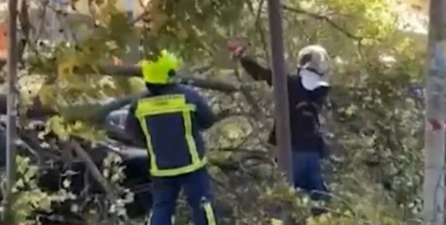 Θυελλώδεις άνεμοι σαρώνουν τη Θεσσαλονίκη – Εκατοντάδες πτώσεις δέντρων και καταστροφές