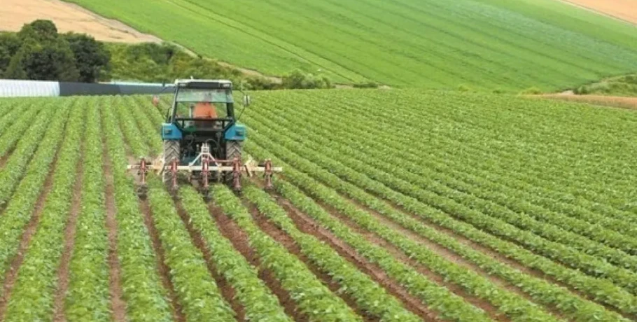 Πληρωμές 3,8 δις για τους αγρότες το 2025 μέσω ΟΠΕΚΕΠΕ, Κρατικού Προϋπολογισμού και ΕΛΓΑ