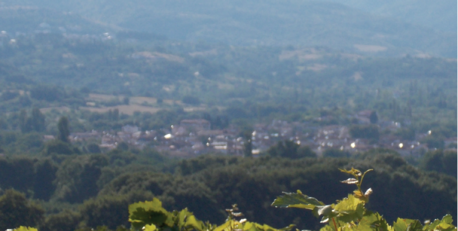 Αυξάνεται η δυναμική του Αμπελώνα του Κιλκίς - Έκδοση της ΔΑΟΚ Π.Ε. Κιλκίς για τα "χαρακτηριστικά" , την πορεία και τη θετική προοπτική της αμπελοκαλλιέργειας