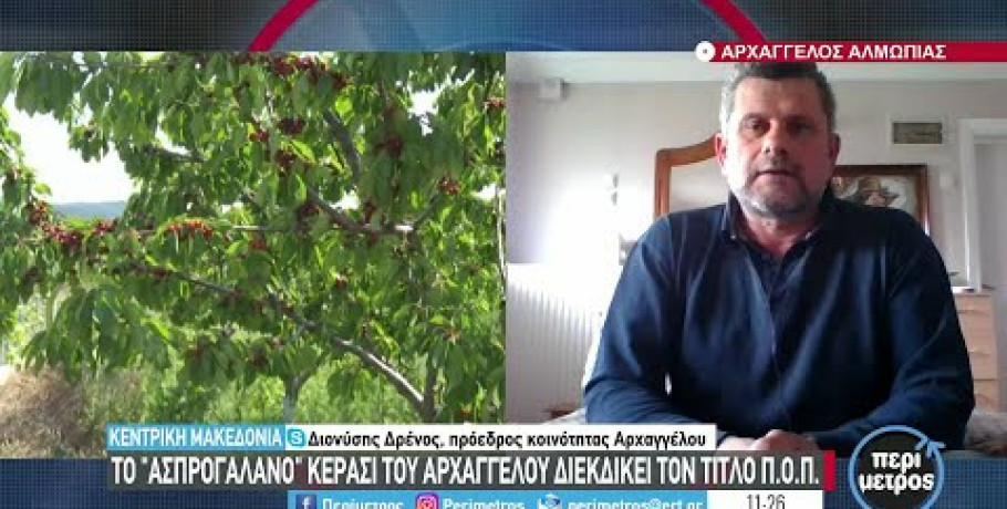 Αντιπαράθεση για την εκπροσώπηση των αγροτών – Τζαμτζής στην κυβέρνηση για στήριξη, διάψευση από Δρένο: «Τεράστιο ψέμα, ήμουν παρών»