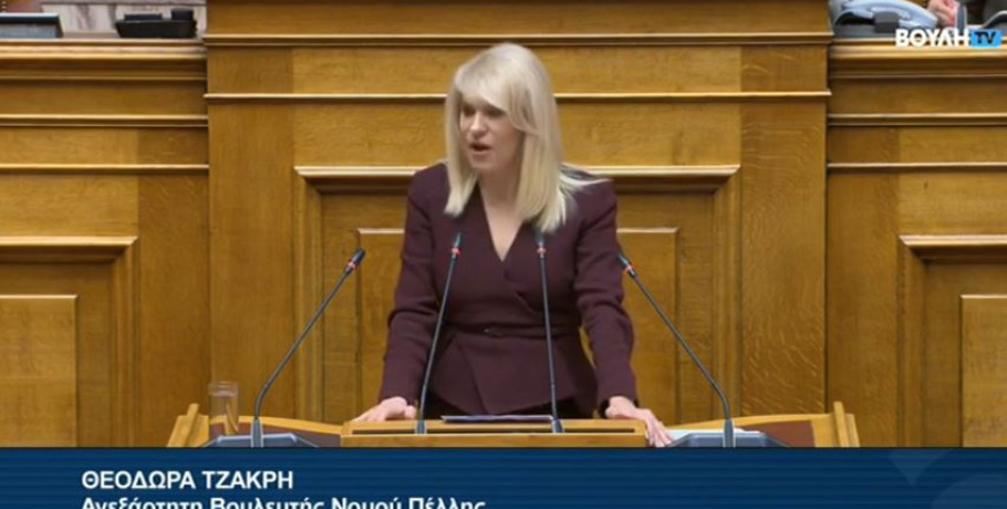 Θ. Τζάκρη - Τοποθέτηση στη Βουλή για το νομοσχέδιο για τις ένοπλες δυνάμεις