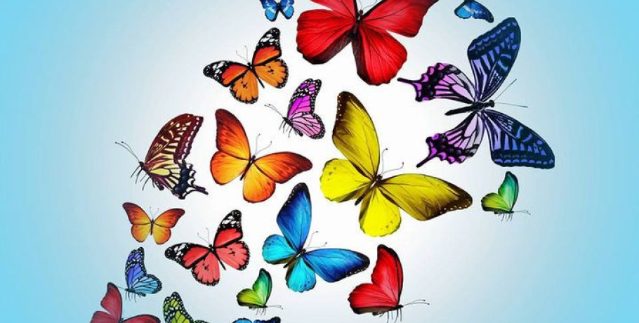 Στο Ράδιο Θεσσαλονίκη 94,5 το αίτημα για Προαστιακό Σιδηρόδρομο σε Ημαθία και Πέλλα