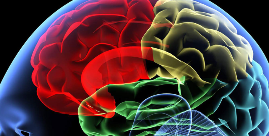 Γιατρός προειδοποιεί: Αυτή είναι η καθημερινή συνήθεια που βλάπτει την υγεία του εγκεφάλου