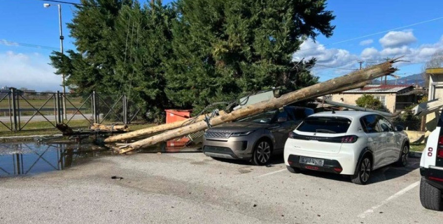 Ζημιές από τους θυελλώδεις ανέμους στη Φθιώτιδα - Χιονοπτώσεις και αλυσίδες στην Ευρυτανία