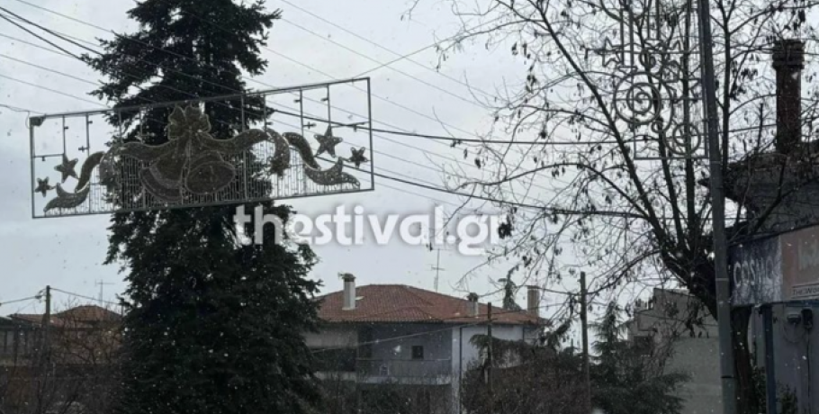 Τα πρώτα χιόνια έπεσαν στη Θεσσαλονίκη: Νιφάδες σε Ασβεστοχώρι και Χορτιάτη - Βίντεο