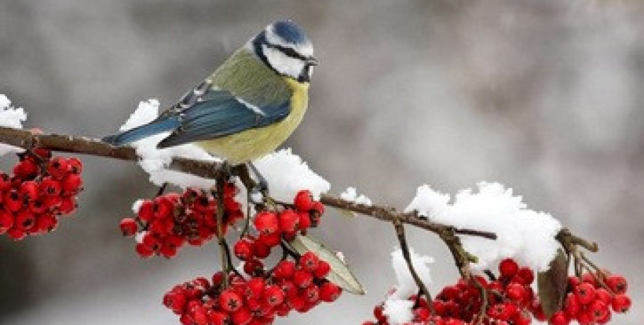 Καλό μήνα Φεβρουάριο!