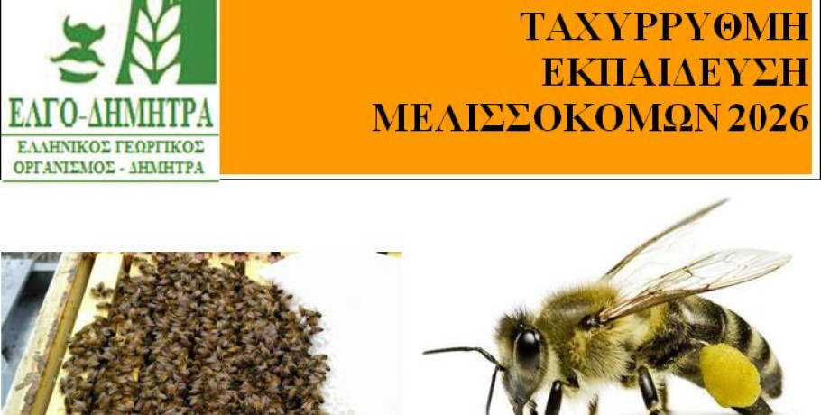 ΕΛΓΟ – ΔΗΜΗΤΡΑ Σκύδρας -Τριήμερο μελισσοκομικό σεμινάριο