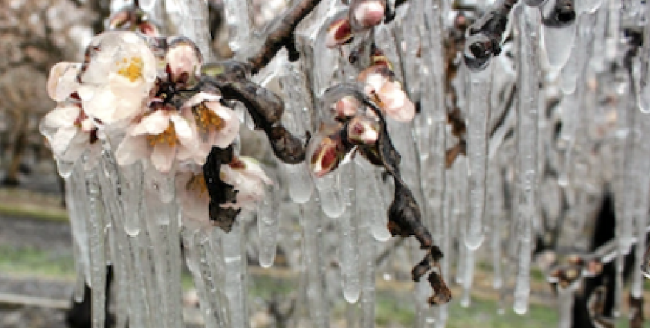 Δήμος Πέλλας: Τα πορίσματα ΕΛΓΑ στη διάθεση των ενδιαφερομένων