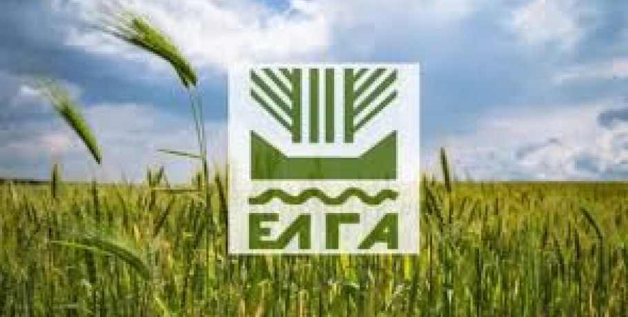 Πληρωμή 6,4 εκ. €, σε δικαιούχους παραγωγούς, των οποίων οι καλλιέργειες επλήγησαν από τον Παγετό Άνοιξη 2025