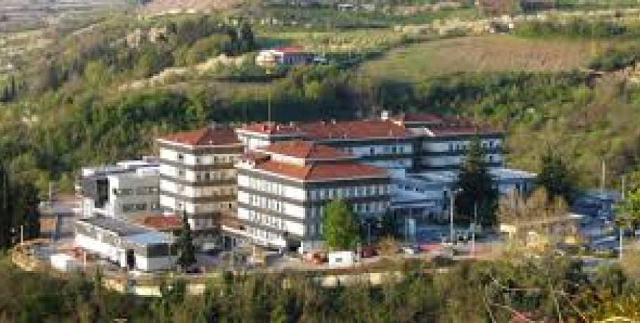 Γ. Ν. Έδεσσας -﻿«Προσωρινή Αναστολή Επισκεπτηρίου»