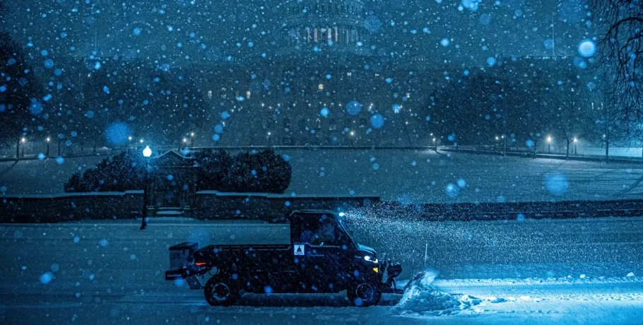 ΗΠΑ: Xάος στις μεταφορές, πολικές θερμοκρασίες στη Φλόριντα ρίχνουν ιγκουάνα από τα δέντρα