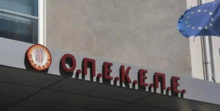 Σωτήρης Χατζηγάκης στην Εξεταστική για ΟΠΕΚΕΠΕ: Δεν αντιμετωπίσαμε απολύτως κανένα πρόβλημα κατά τη θητεία μου