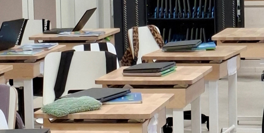 Στο επίκεντρο της φινλανδικής εκπαιδευτικής αριστείας το Δημοτικό Σχολείο Πενταπλατάνου