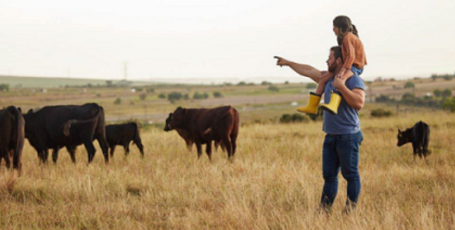 Συστάσεις για την κληρονομική διαδοχή των αγροτικών εκμεταλλεύσεων λόγω πρόωρης συνταξιοδότησης