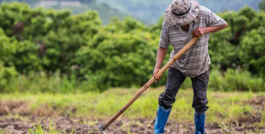 ΝΕΑ ΑΓΡΟΤΩΝ: 3 Πληρωμές στο 20ήμερο – 50€/στρέμμα για μικρούς αγρότες + Βάμβακος και Αγροπεριβαλλοντικά εκτός “κόφτη” ΚΑΠ