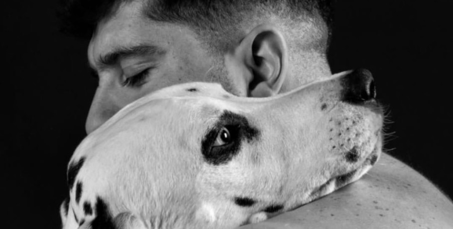 Δημήτρης Χατζησαΐας: Η δύναμη του γηπέδου και η τρυφερότητα για τον πιστό του Δαλματία