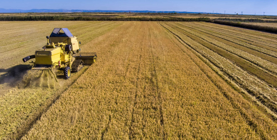 Λήγει η προθεσμία για την ανανέωση εγγραφής στο  Μητρώο Εμπόρων Νωπών Οπωροκηπευτικών (ΜΕΝΟ)