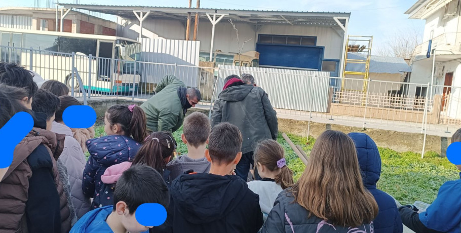 1ο Δημοτικό Σχολείο Κρύας Βρύσης- Περιβαλλοντική δράση δενδροφύτευσης