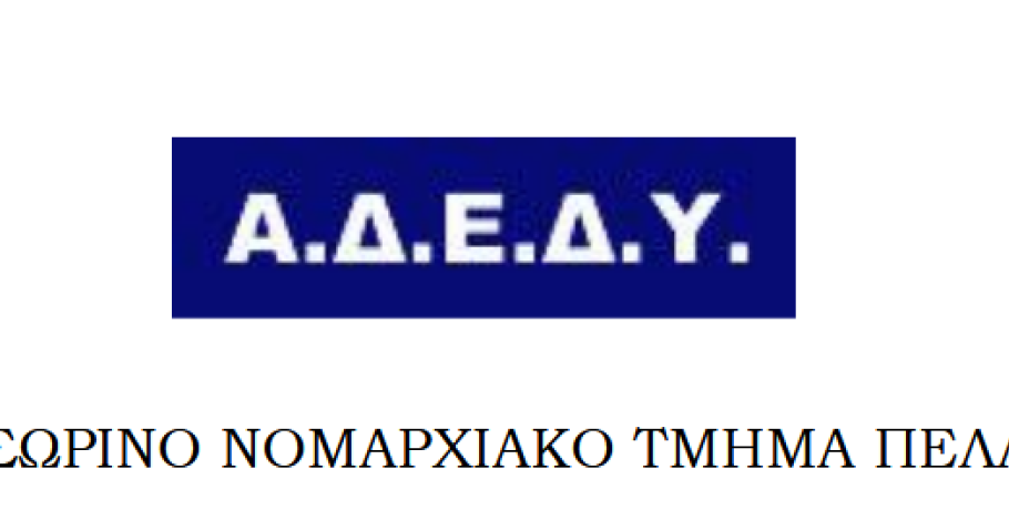 ΑΔΕΔΥ Πέλλας: Επί τάπητος η διαδικασία αρχαιρεσιών επειδή όλα ακόμη είναι προσωρινά