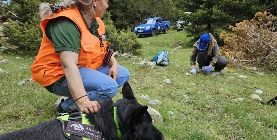 Αλυσίδα θανάτου στην ελληνική ύπαιθρο: 92 ζώα νεκρά από δηλητηριασμένα δολώματα