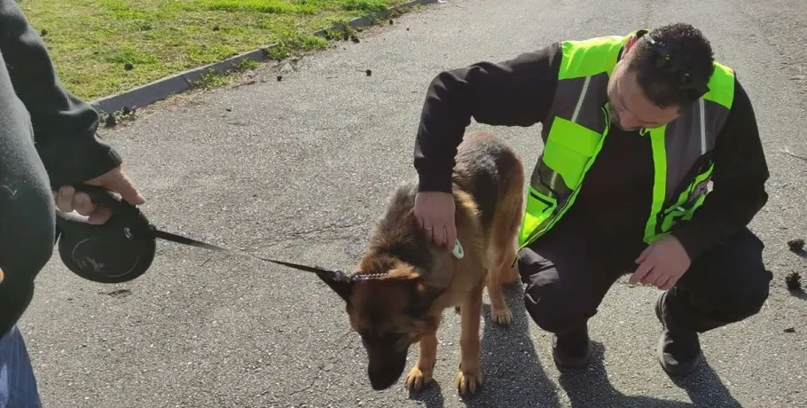 Θεσσαλονίκη: Πρόστιμα για βόλτα χωρίς… λουρί