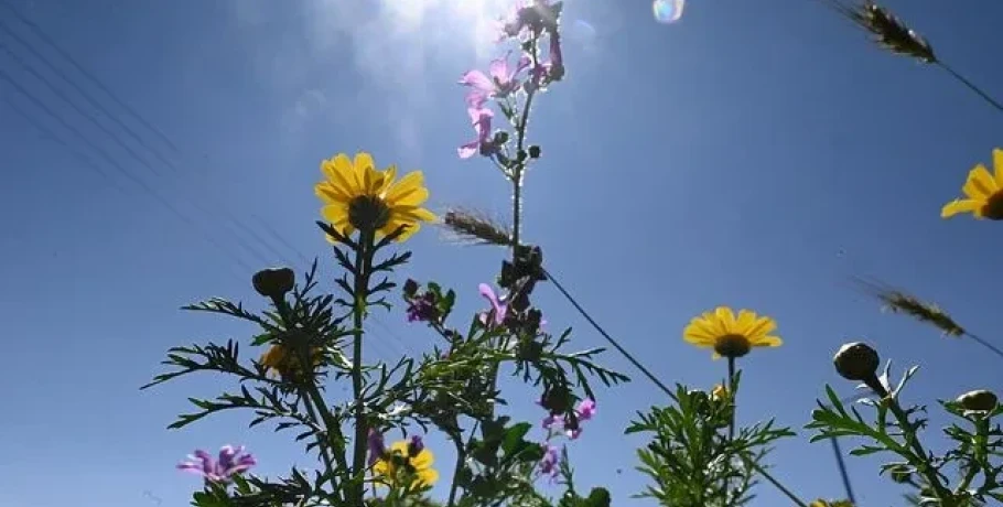 Καιρός: Ανοιξιάτικο σκηνικό στην αρχή της εβδομάδας – Ήλιος και άνοδος θερμοκρασίας - Πού αναμένονται βροχές
