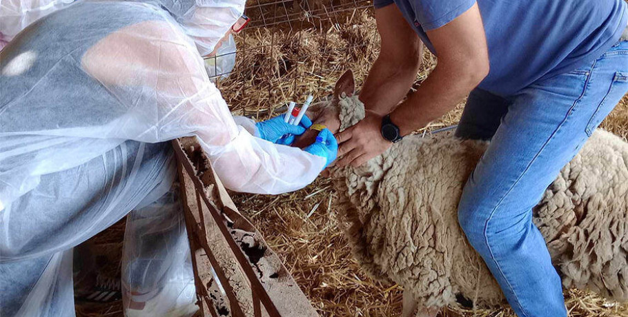 Ενίσχυση του κτηνιατρικού μηχανισμού με 49 προσλήψεις για την αντιμετώπιση της ευλογιάς