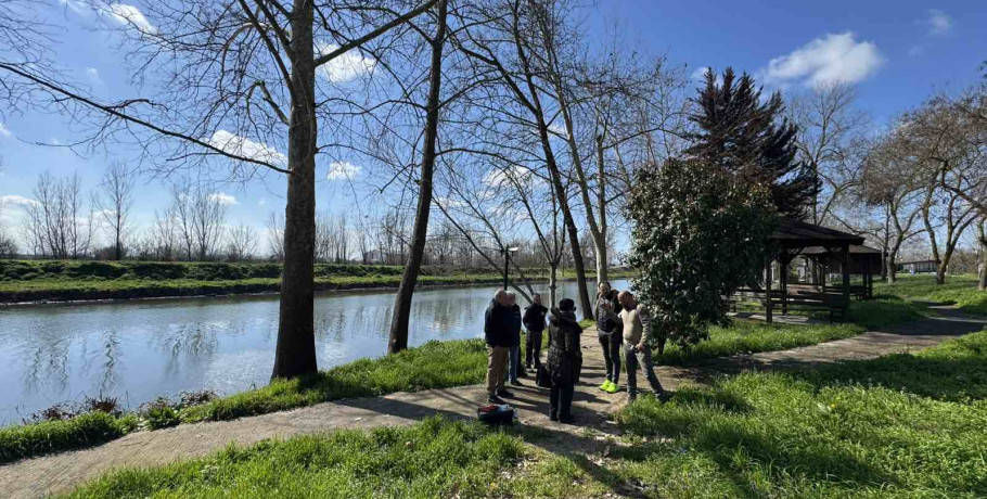Παρέμβαση του Δήμου Πέλλας για την αποτροπή εξάπλωσης έλκους πλατάνου στο Λουδία